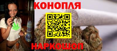 Альфа ПВП Ярославль