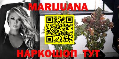 сатива Анапа