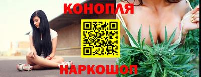 Альфа ПВП Ярославль