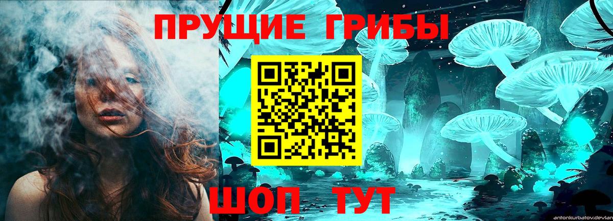 Бердск  цены наркотик  Вход с VPN  Псилоцибиновые грибы мухоморы 